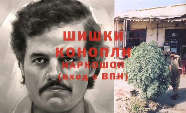 сатива Струнино