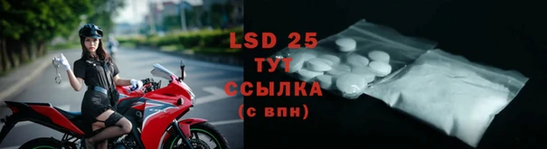 сатива Струнино