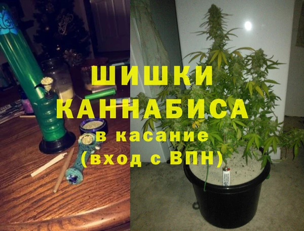 сатива Струнино