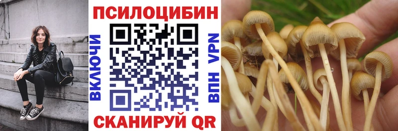 hydra зеркало  Усолье  Галлюциногенные грибы Magic Shrooms 